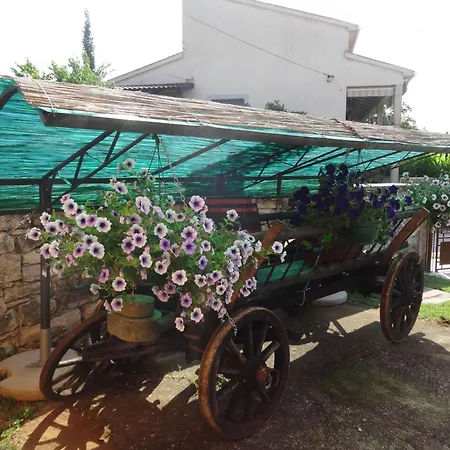 Hébergement de vacances Adorable With Garden And Outdoor Kitchen
