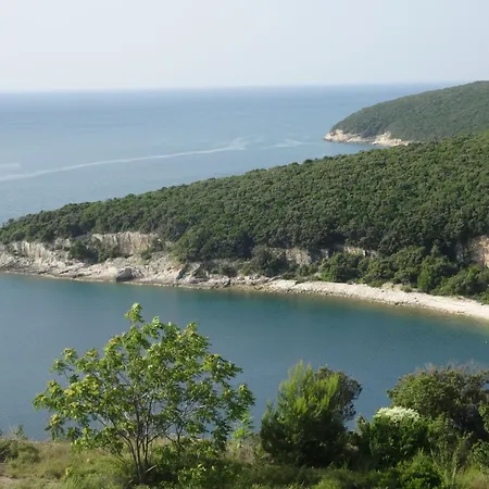 In Croatia Near The Coast *